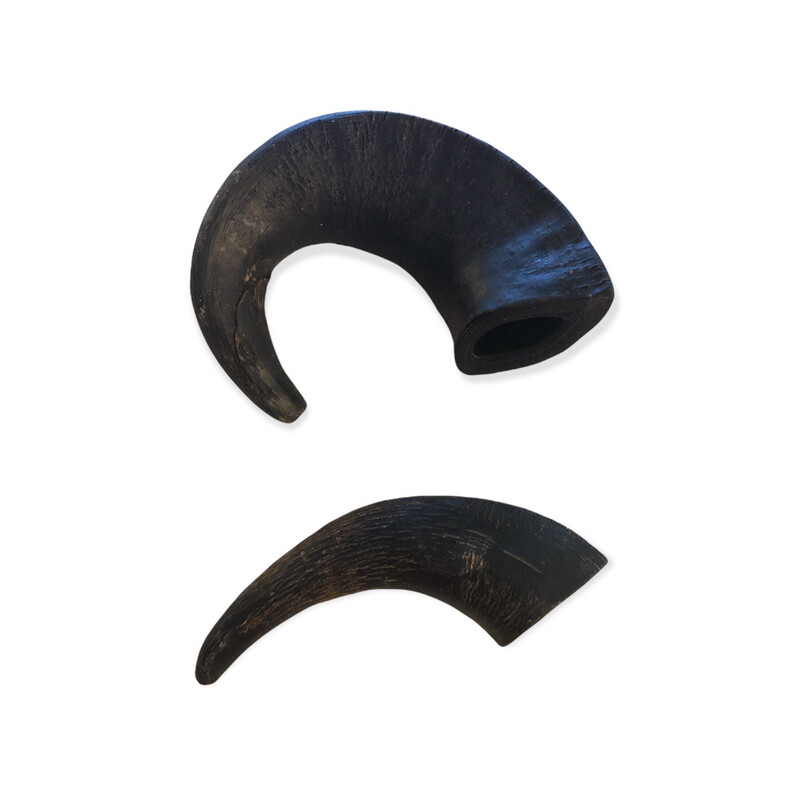 Buffalo Horn Medium
