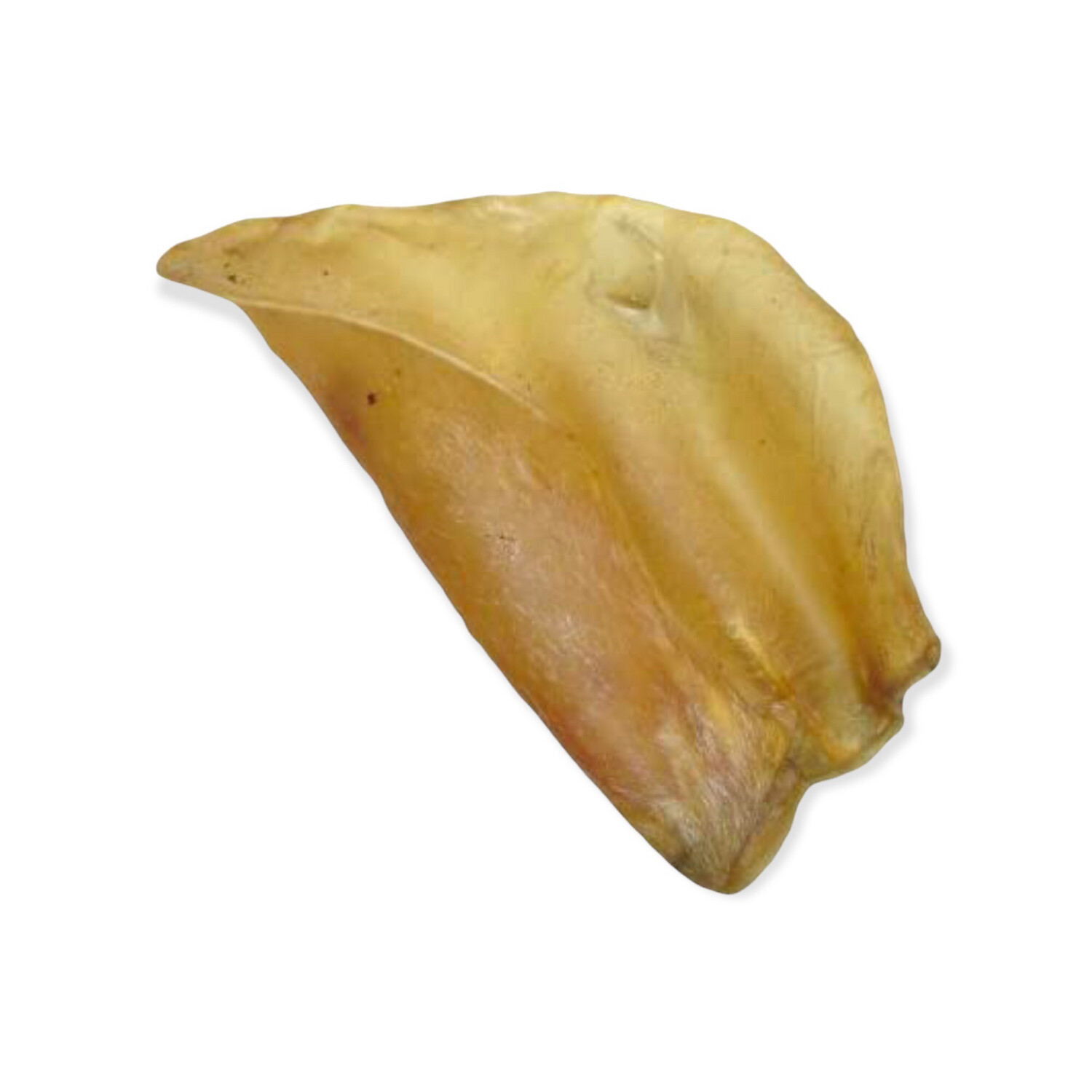 Single cow ear