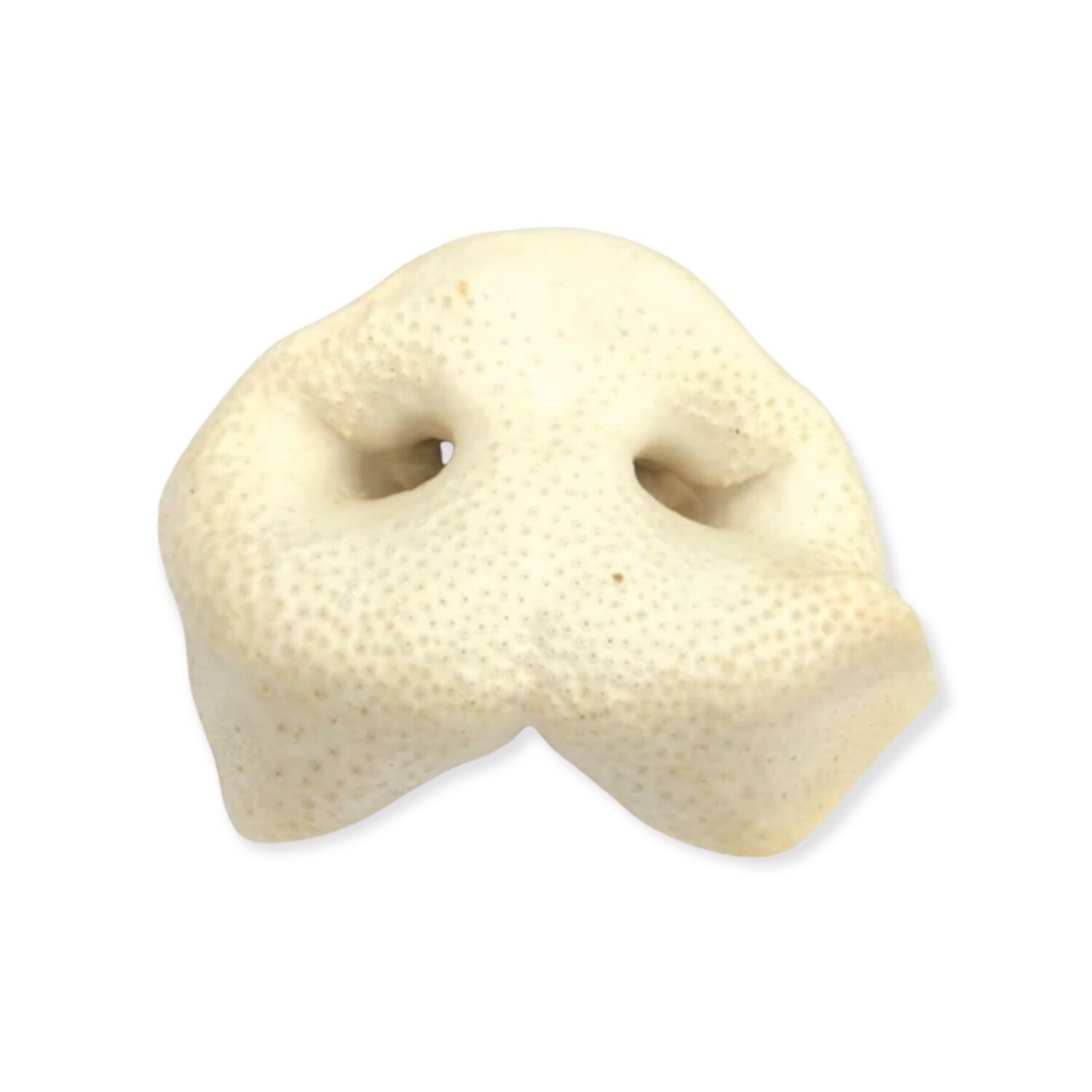 3x Puffed pig Snout