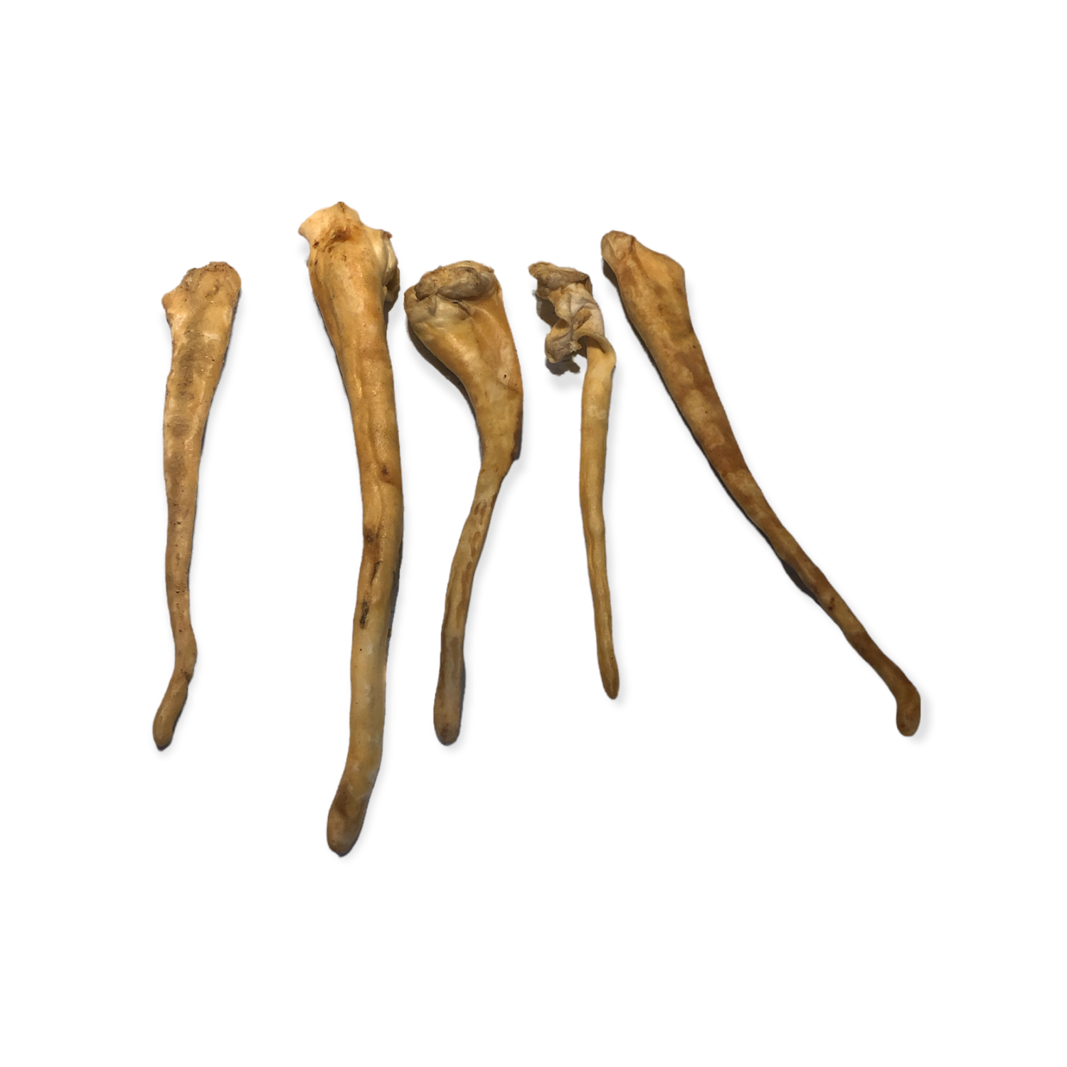 Lambs Tail 150g