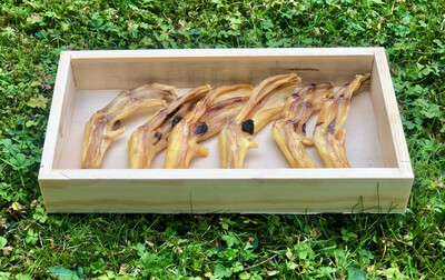Duck Feet Treat Bag