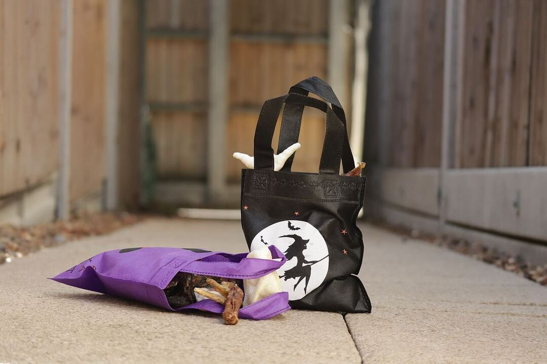 Halloween Treat Bag