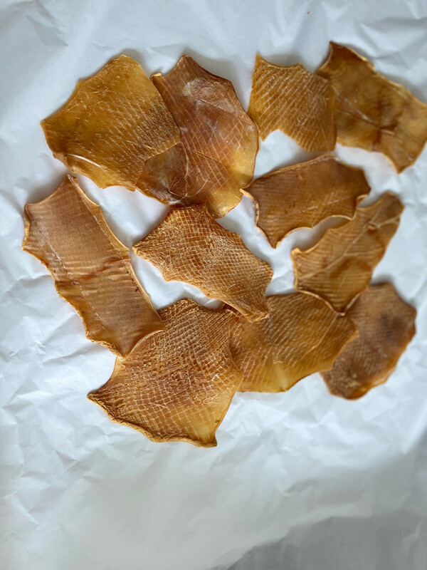 Squid Chews X 1