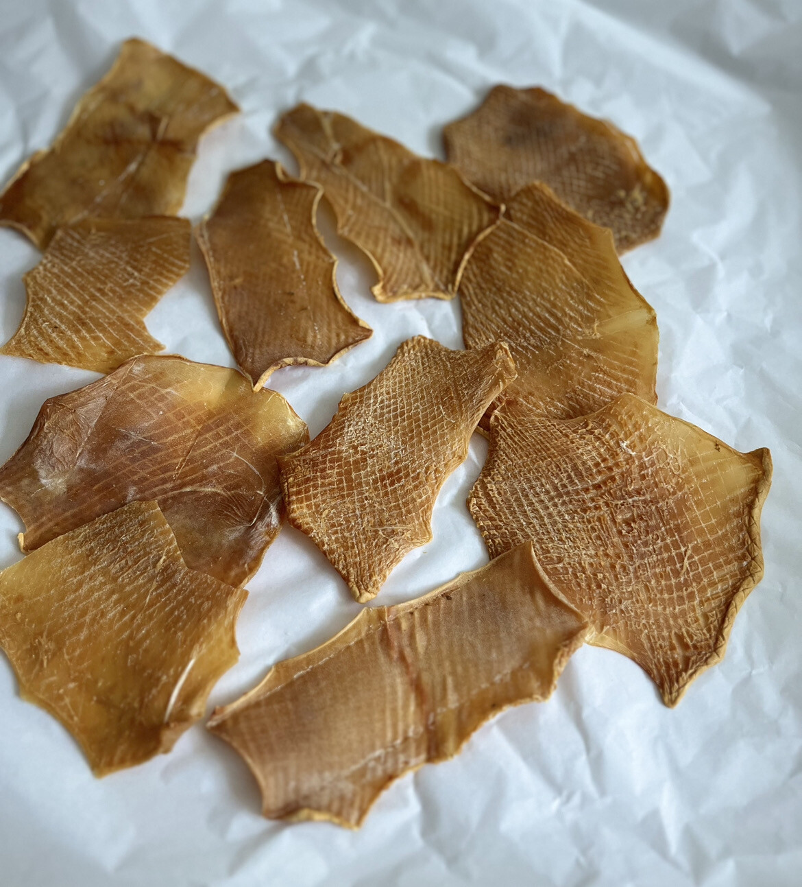 3 X Squid Chews