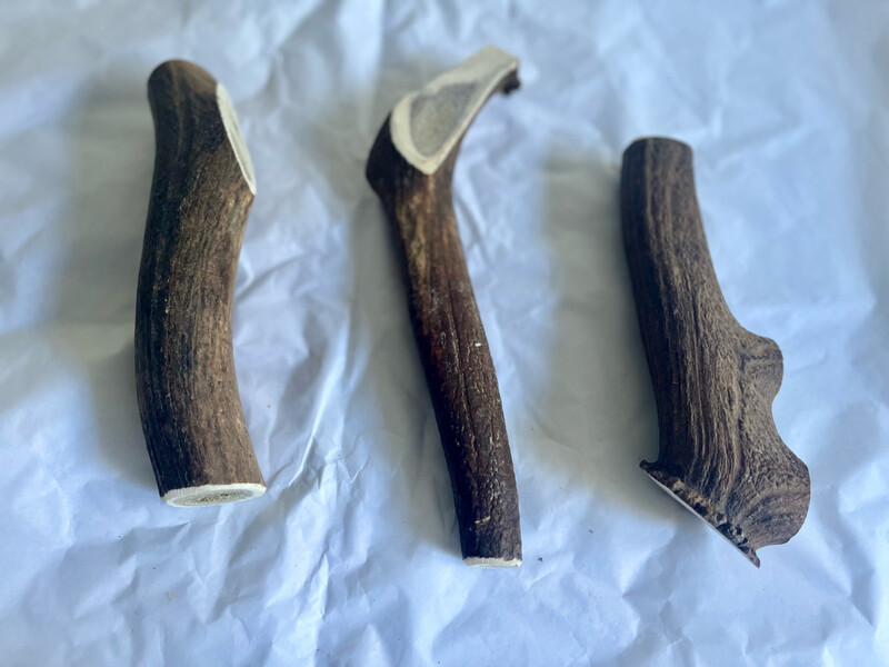 Large Full Antler