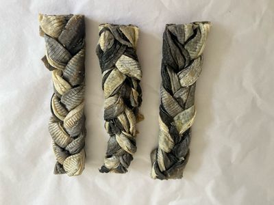 Braided Fish Skin
