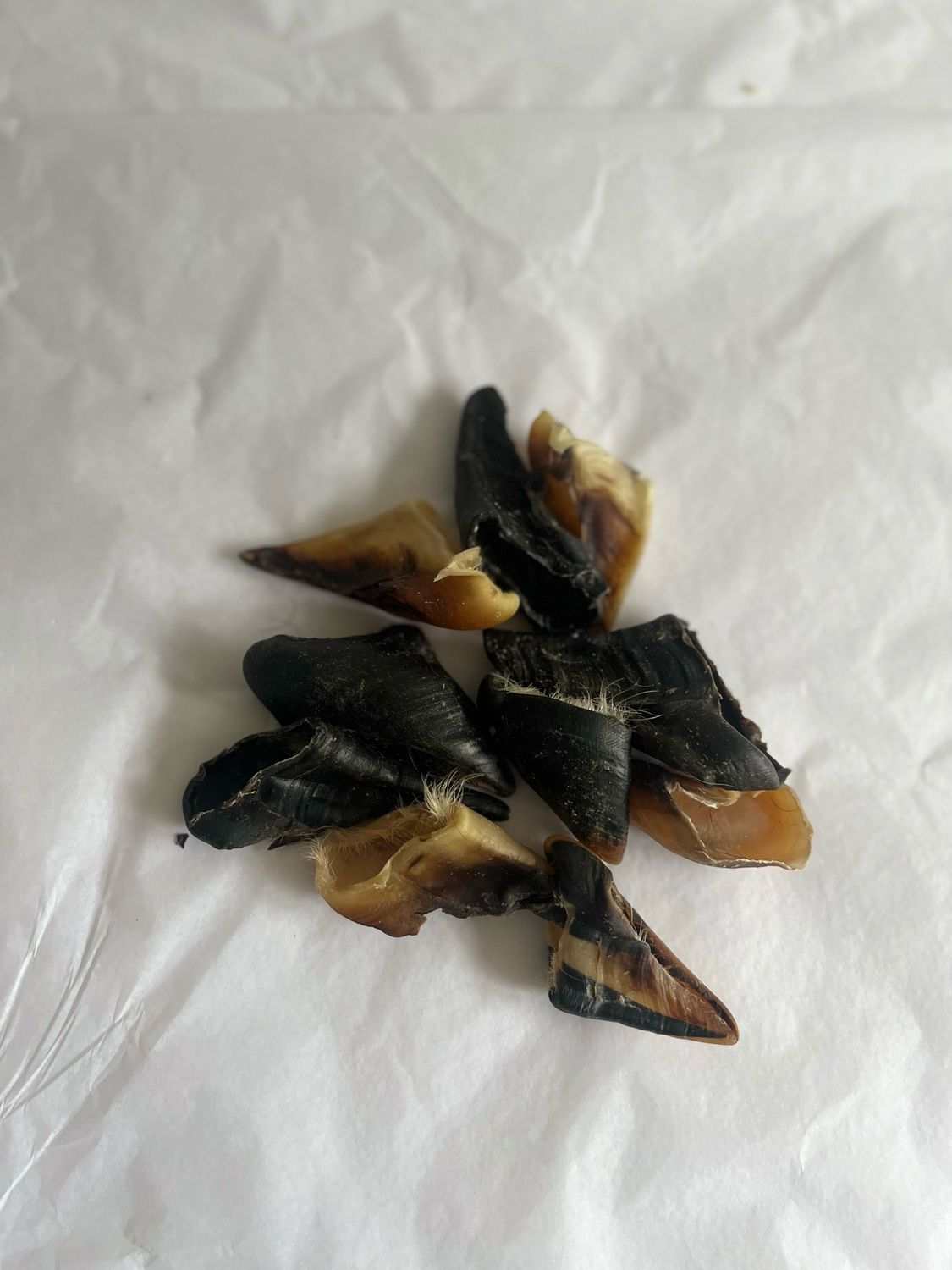 100g Dinky Lamb Hooves