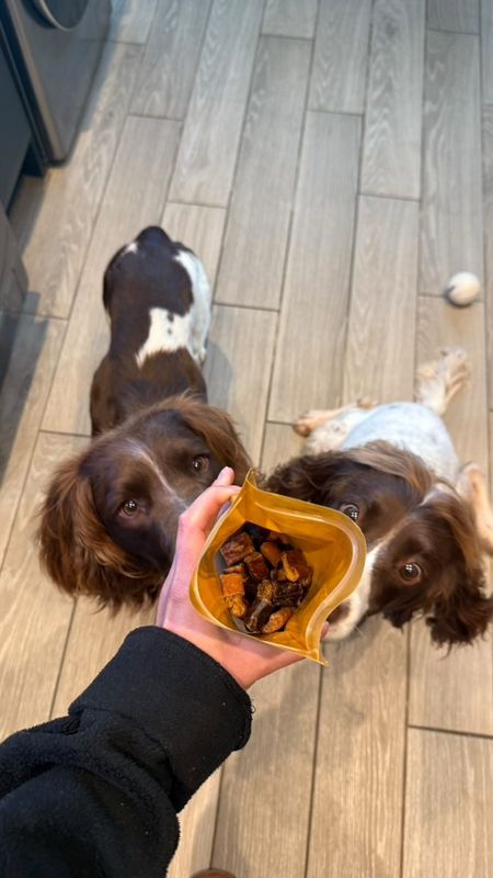 Sausage surprise Bites 100g