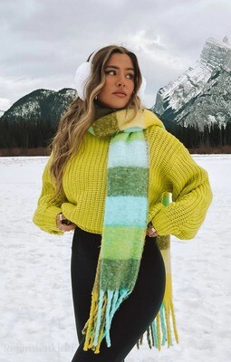 Bailey Sweater in Lime Knit