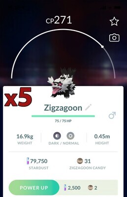 Galarian Zigzagoon [x5] - Pokemon GO Trade