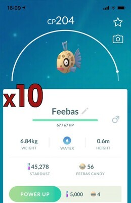 Feebas [x10] - Pokemon GO Trade