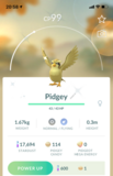 #016 - Shiny Pidgey - Pokemon GO Trade