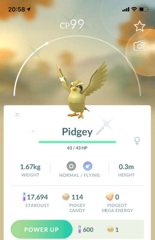 #016 - Shiny Pidgey - Pokemon GO Trade