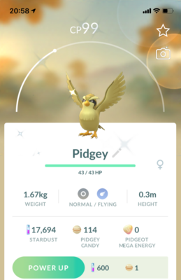 Shiny Pidgey - Pokemon GO Trade