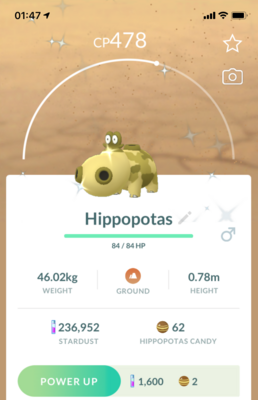 Shiny Hippopotas - Pokemon GO Trade