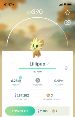 Shiny Lillipup - Pokemon GO Trade