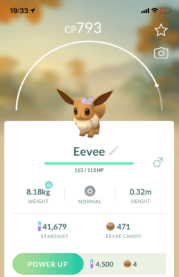 #133 - Eevee with Flowers - Pokemon GO Trade