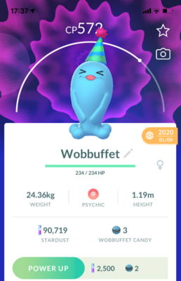 #202 - Wobbuffet Party Hat - Pokemon GO Trade