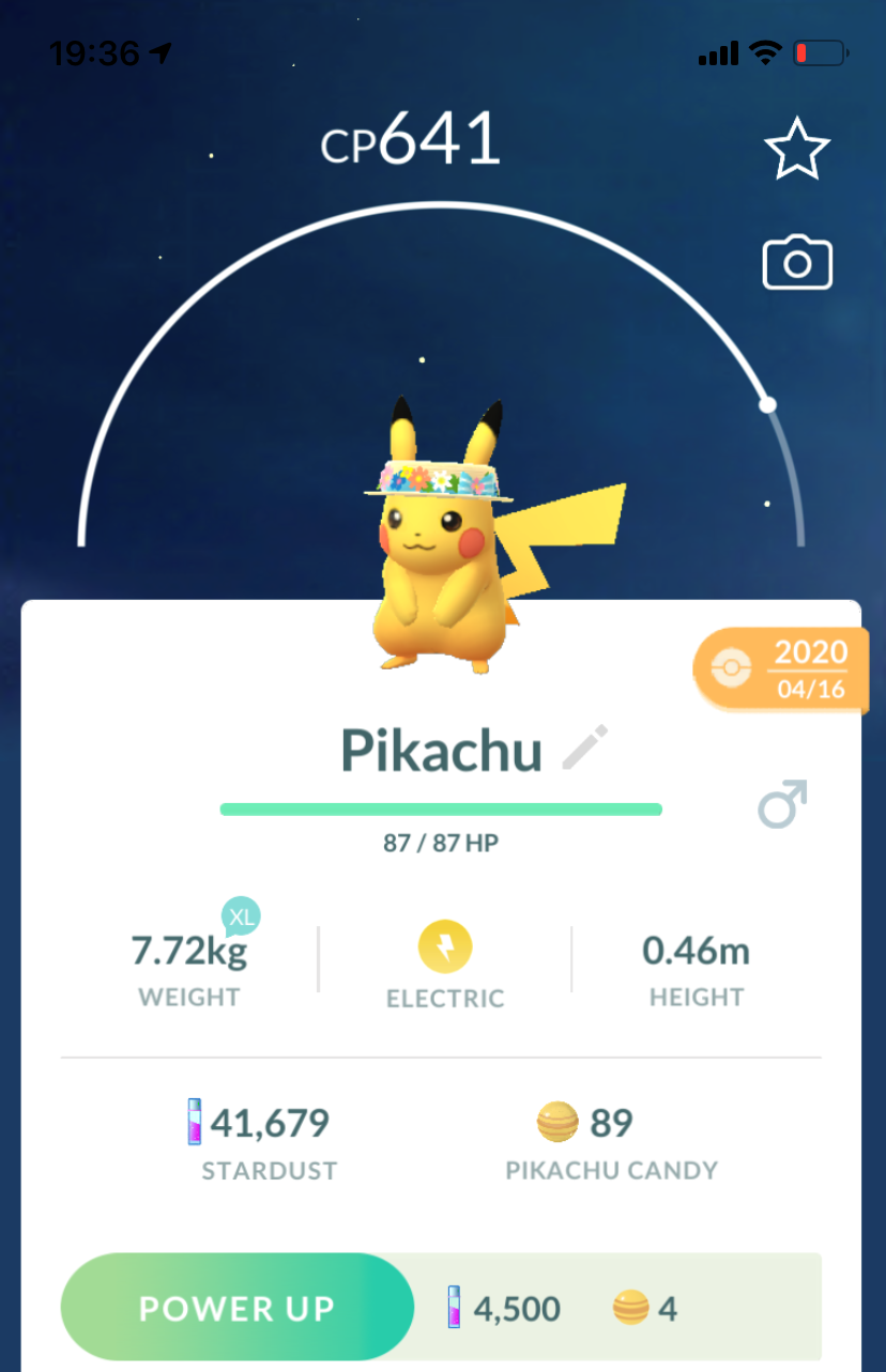 Pikachu Crown of Flowers - Pokemon GO Trade