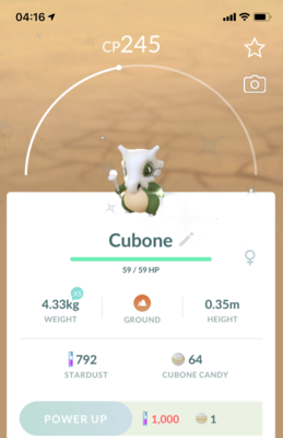 Shiny Cubone - Pokemon GO Trade