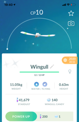 Shiny Wingull - Pokemon GO Trade