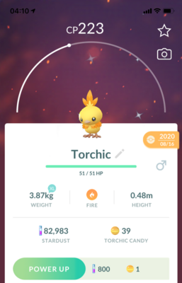 Shiny Torchic - Pokemon GO Trade