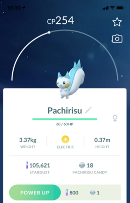 Pachirisu - Pokemon GO Trade