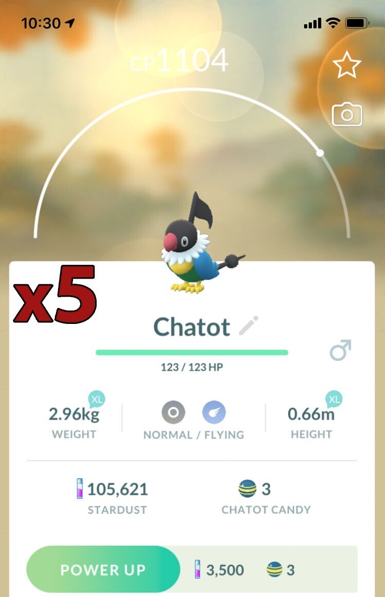 Chatot [x5] - Pokemon GO Trade