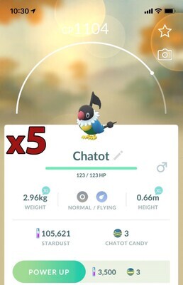 Chatot pokemon region go Pokémon GO