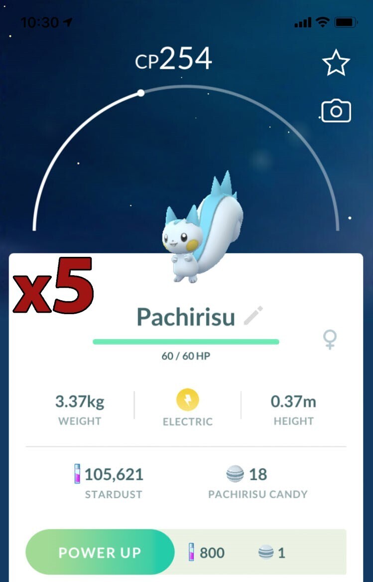 Pachirisu [x5] - Pokemon GO Trade