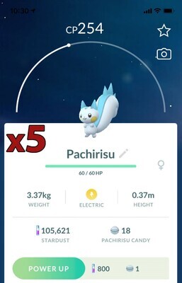 #417 - Pachirisu [x5] - Pokemon GO Trade