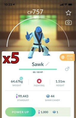Sawk [x5] - Pokemon GO Trade