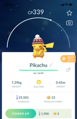 Pikachu Winter Hat - Pokemon GO Trade
