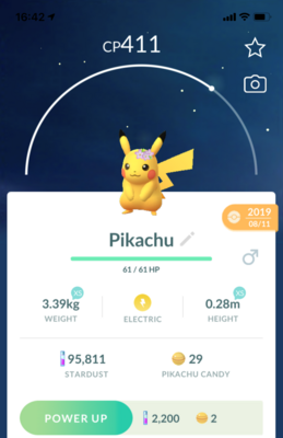 Pikachu with Flowers - Pokemon GO Trade