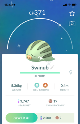 Shiny Swinub - Pokemon GO Trade