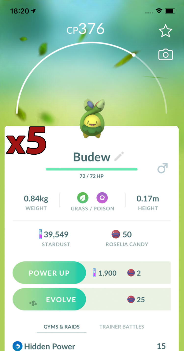 #406 - Budew Trades [x5] - Pokemon GO Trade