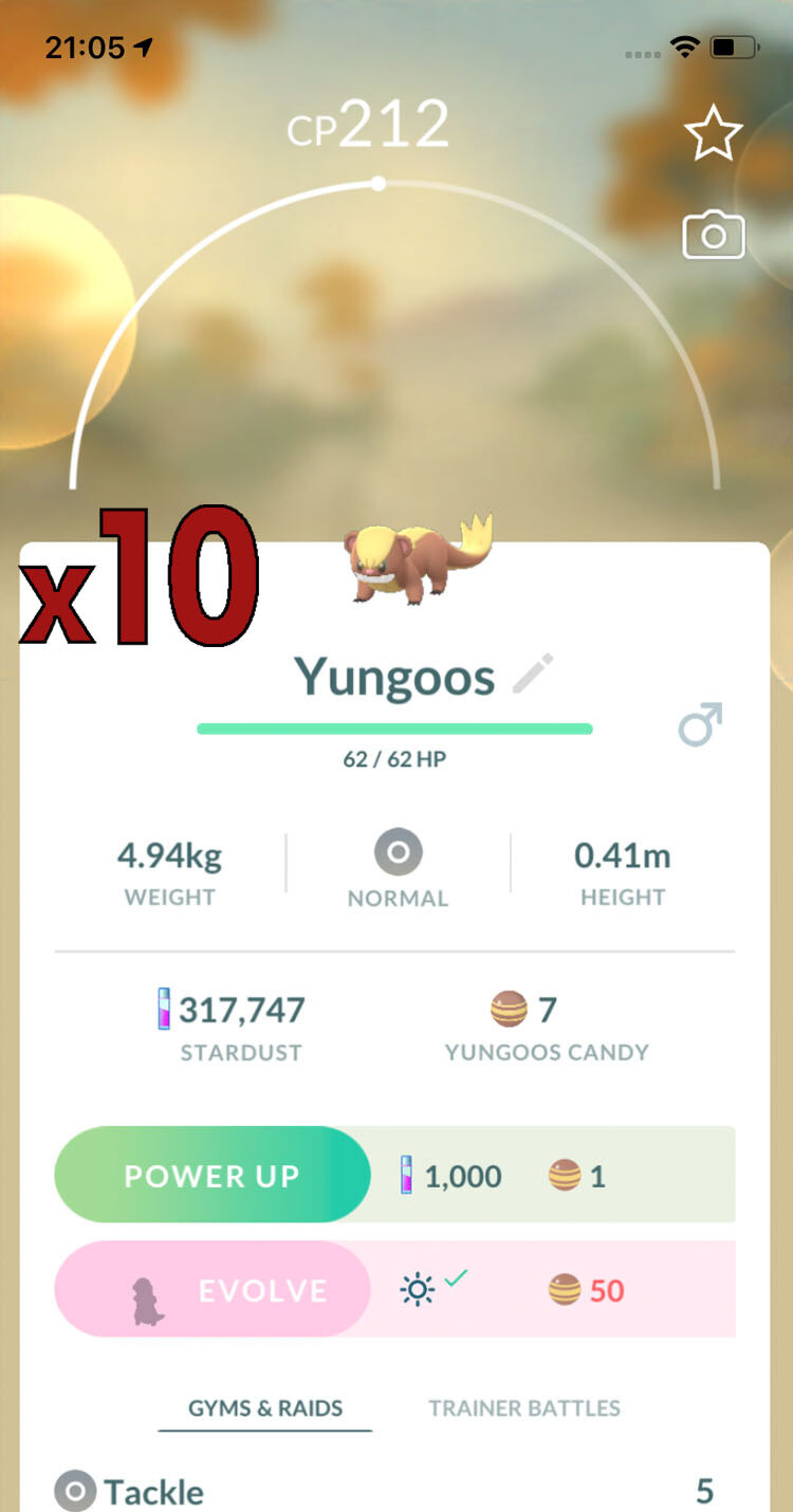 Yungoos Trades [x10] - Pokemon GO Trade