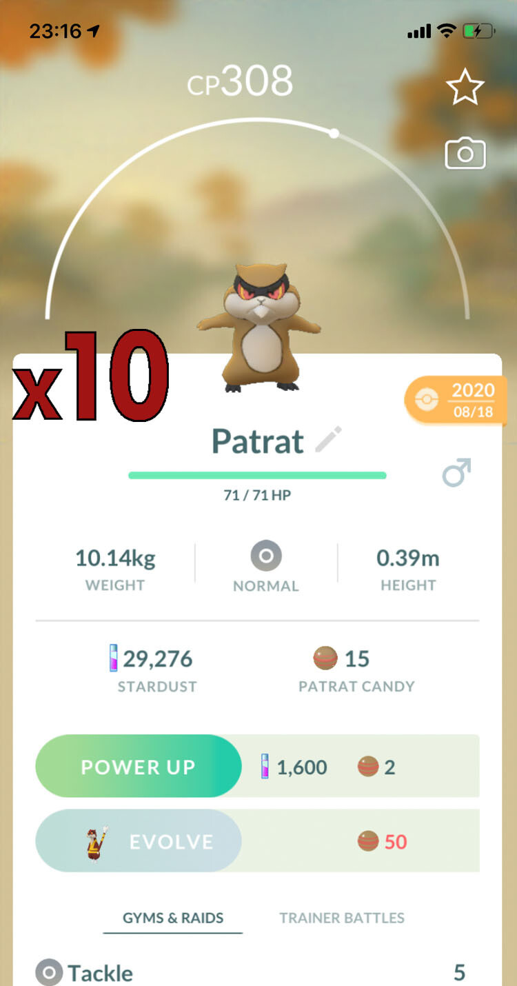 Patrat Trades [x10] - Pokemon GO Trade