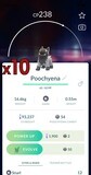 #261 - Poochyena Trades [x10] - Pokemon GO Trade