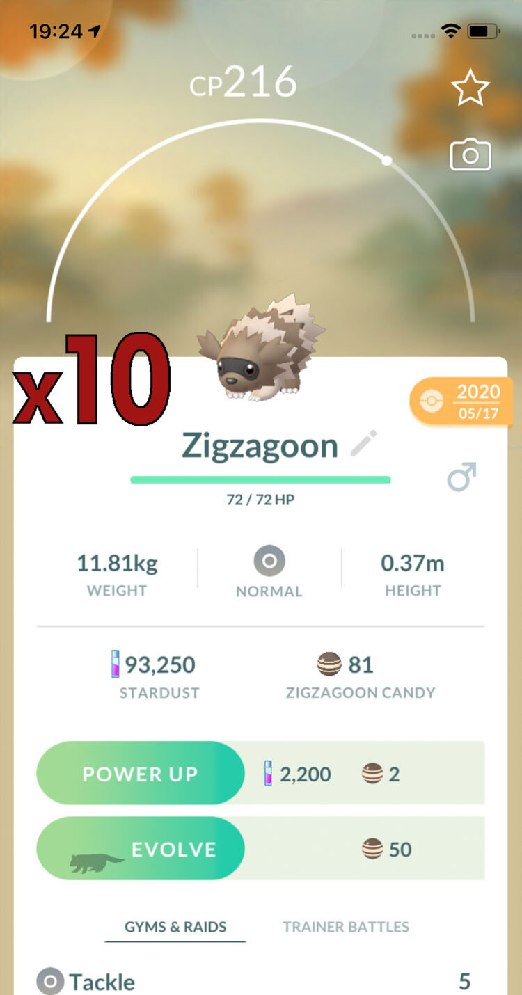 Zigzagoon Trades [x10] - Pokemon GO Trade