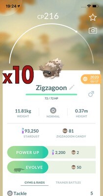 Zigzagoon Trades [x10] - Pokemon GO Trade