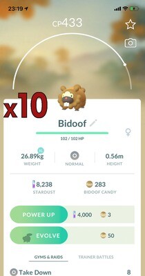 Bidoof Trades [x10] - Pokemon GO Trade