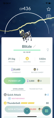 Blitzle Fashion Week Trade - Pokemon GO Trade