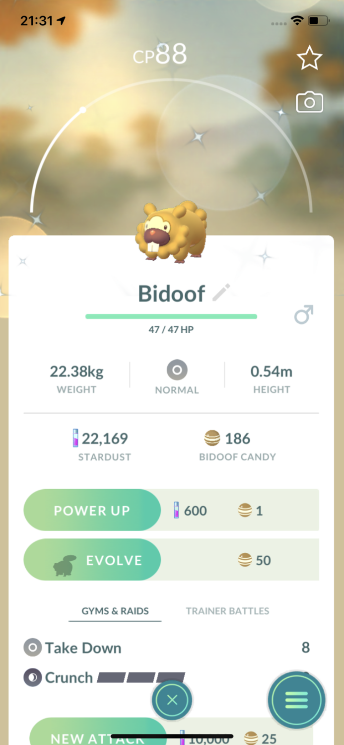 Shiny Bidoof Trade - Pokemon GO Trade