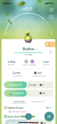 Shiny Budew Trade - Pokemon GO Trade