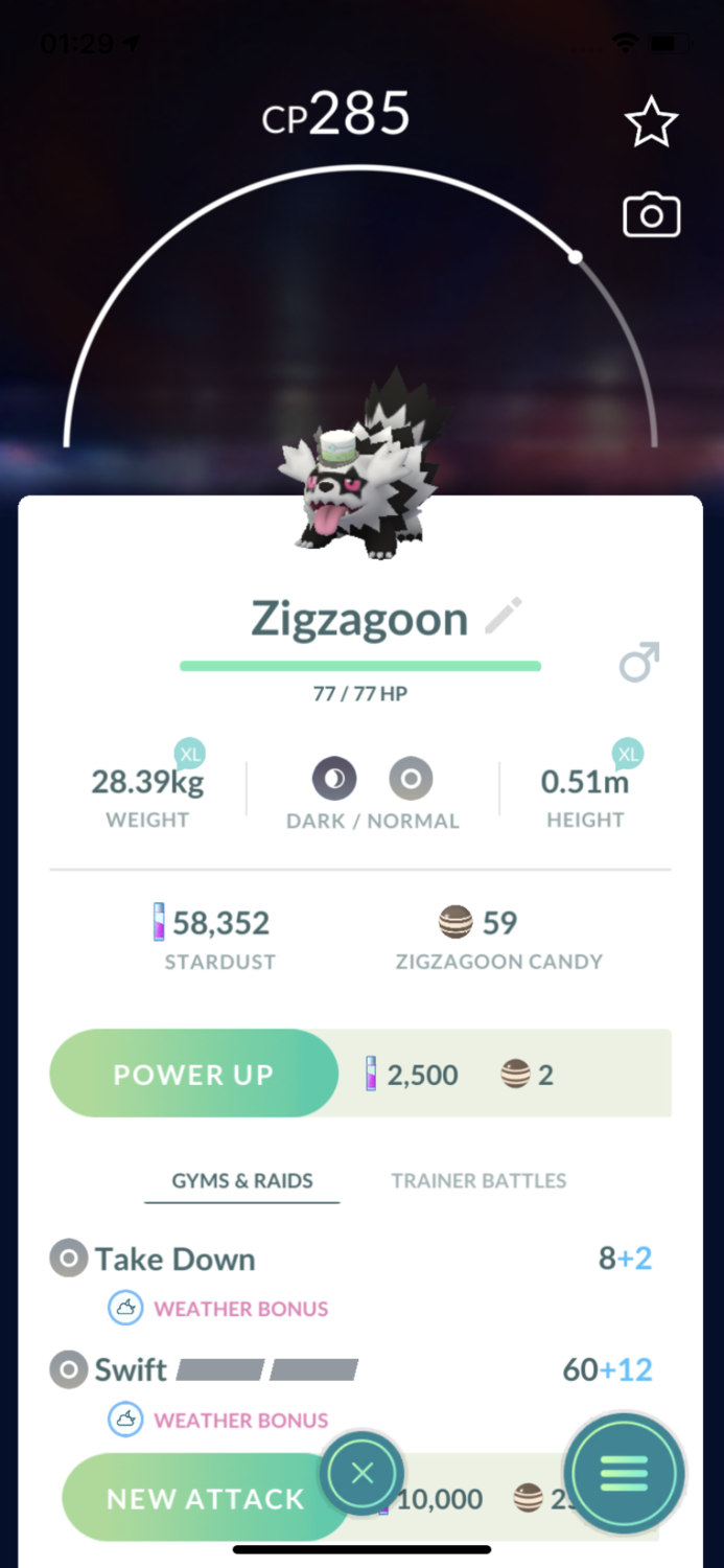 Galarian Zigzagoon GO Fest Trade - Pokemon GO Trade