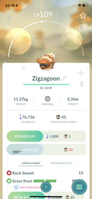 Shiny Zigzagoon Trade - Pokemon GO Trade