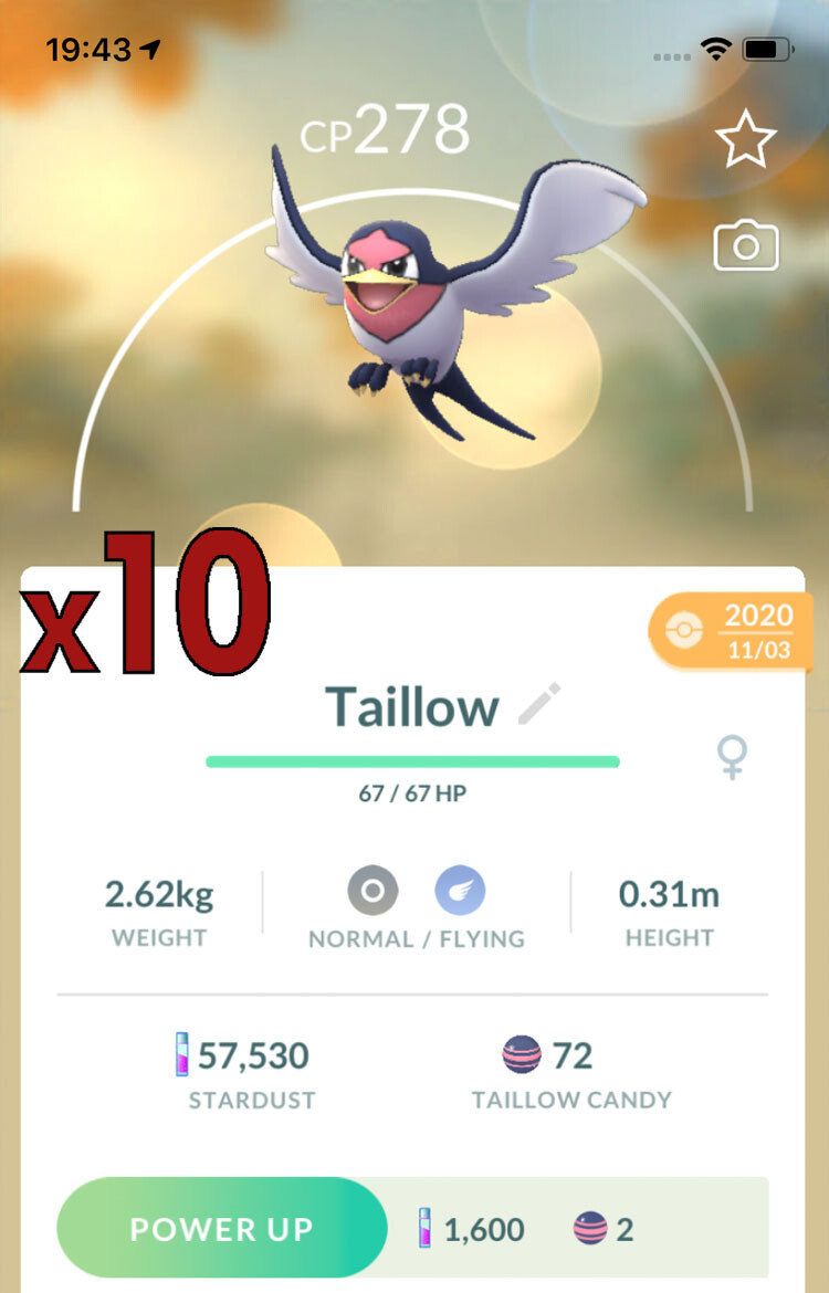 Taillow Trades [x10] - Pokemon GO Trade