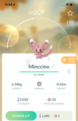 Shiny Minccino Trade - Pokemon GO Trade