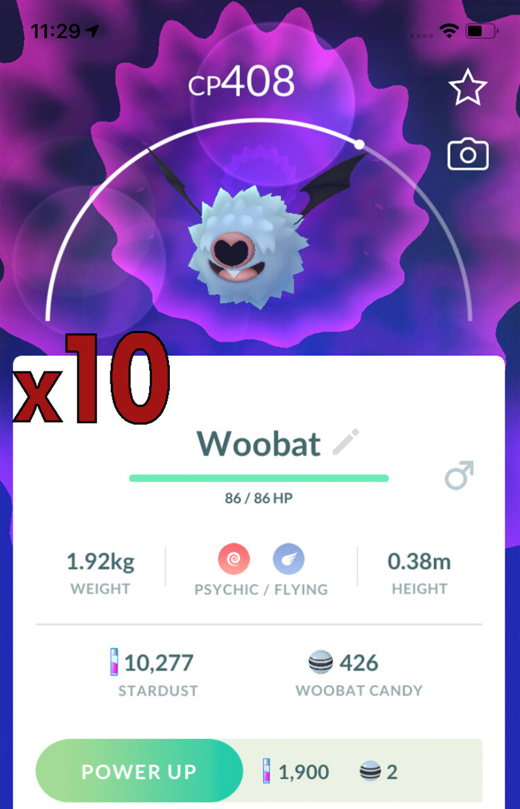 Woobat Trades [x10] - Pokemon GO Trade